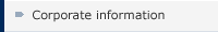 Corporate information