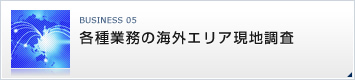 各種業務の海外エリア現地調査